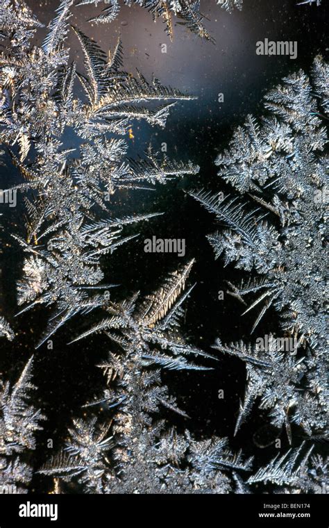 Hoarfrost Stock Photos And Hoarfrost Stock Images Alamy