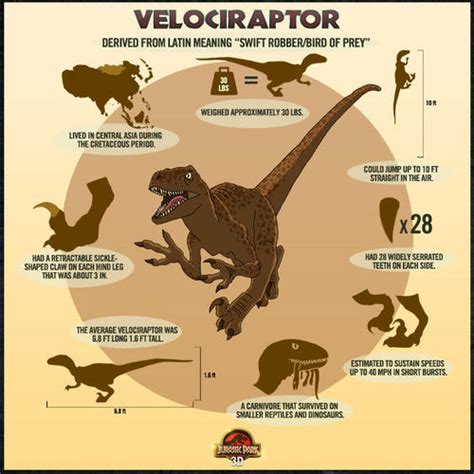 Image 500x500 Raptor Poster Jurassic Park Wiki Fandom Powered By Wikia