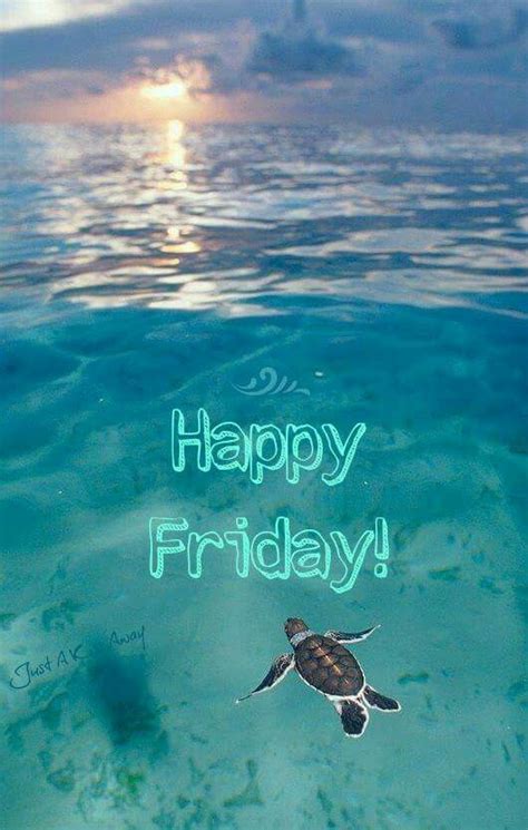 Happy Friday Images Beach We Have Gathered A Huge Collection Of Happy