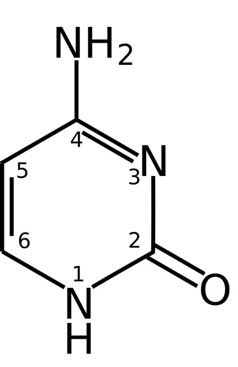 Filecytosine Chemical Structuresvg Wikipedia
