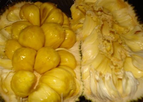 It looks almost like a jackfruit but it is not a jackfruit. Indonesian Fruits List - Course Bahasa Indonesia