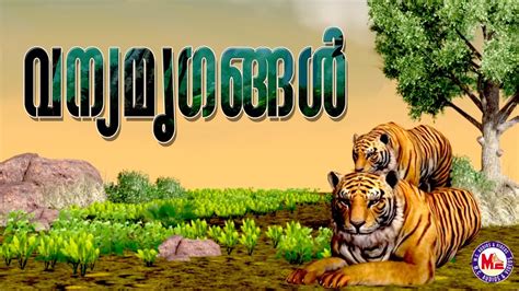 വന്യമൃഗങ്ങൾ (WILD ANIMALS) | Malayalam | Education for Kids - YouTube