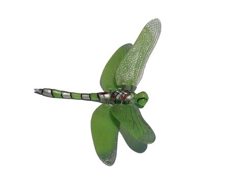 Dragonfly Clip Art Photo Clipartix