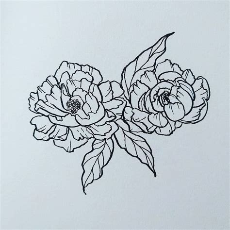 Lotus flowers can symbolize peace, purity. Some peonies. . . #sketchbook #art #art #sketch # ...