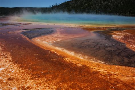 Extremophiles Could Hold Clues For Climate Change Tackling Technologies