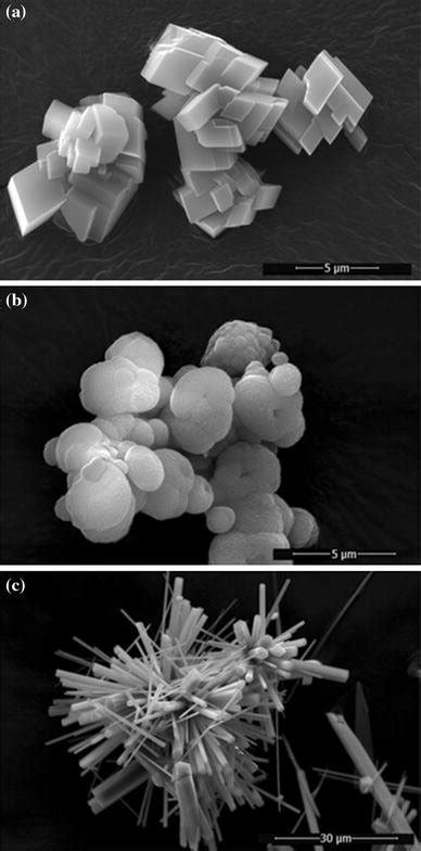 Sem Images Of The Synthetized Calcium Carbonate Polymorphs A Calcite