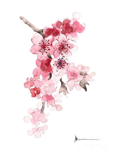 Sakura Flowers Watercolor Art Print Painting Art Print By Joanna