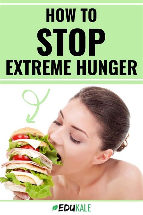 How To Deal With Extreme Hunger Why Am I Hungry All The Time In 2020