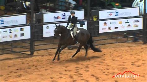 legally untouchable 2011 aqha world show amateur working hunter finals youtube