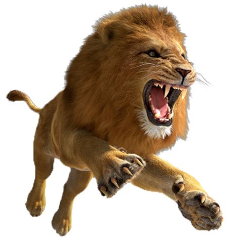 Lion Png Image Purepng Free Transparent Cc0 Png Image Library Images