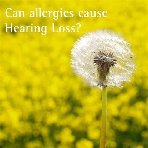 There are some food which might a doctor recommend you to. Can Food Allergies Cause Speech Disorders?: Ear Infections ...