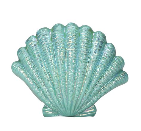 Blue Seashell Png Image Purepng Free Transparent Cc0 Png Image Library