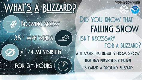 Winter Infographics