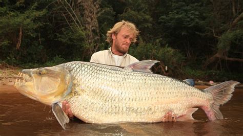 Jakub Vagners Goliath Tigerfish Congo River Fish Congo River Big