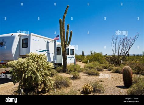 Desert Camping In The Sonoran Desert East Mesa Az Stock Photo Alamy