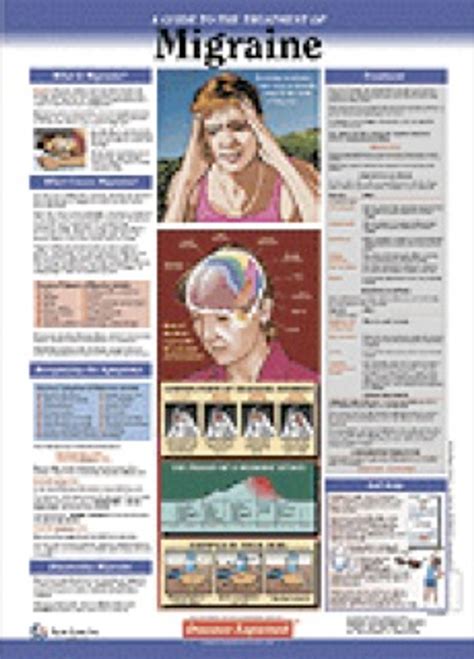 Migraine Patient Anatomy Chart Clinical Charts And Supplies