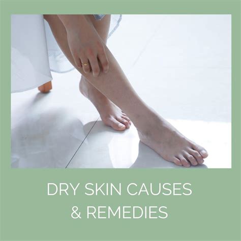Dry Skin Causes And Remedies Odylique