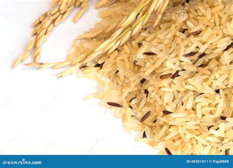 Gaba Rice Background Germinated Brown Rice Medicinal Properties Thai