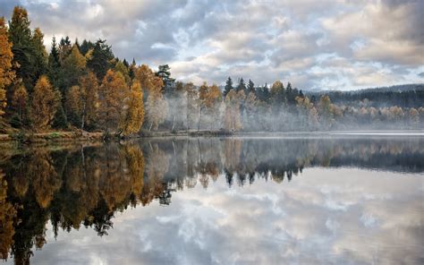 Autumn Lake Forest Trees Morning Mist Wallpaper Nature And