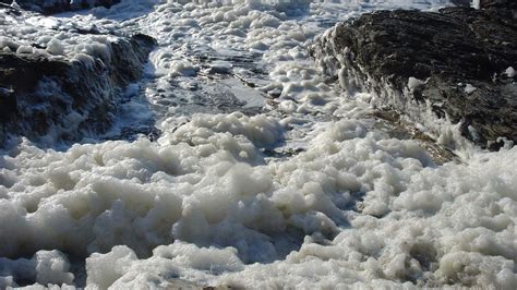 What Exactly Is Sea Foam Howstuffworks