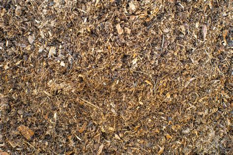 Sawdust Manure Soil Texture High Quality Animal Stock