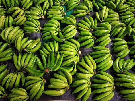 Export Of ‘nendran’ Bananas From Kerala On The Rise The Hindu