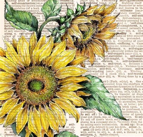 S For Sunflowers Vintage Style Watercolor Art Print Etsy Sunflower