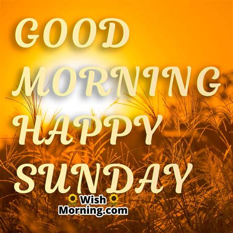 Sunday Morning Wishes Wish Morning
