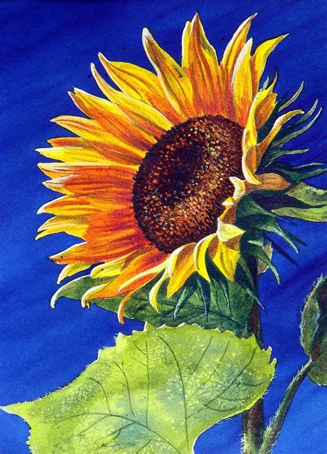 Simple Sunflower Drawing Color Sunflower Linear Icon Harvest Coloring