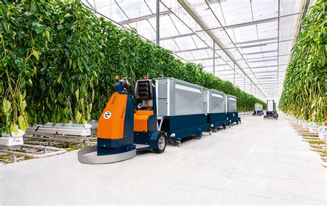 Safe And Efficient Transport Of Bell Peppers With The Pepper Shuttle