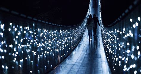 Thousands Of Twinkling Lights On Display As Canyon Lights Returns To