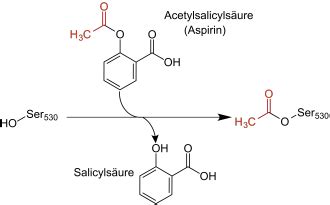 Das produkt wurde 1897 aspirin genannt. Acetylsalicylsäure - Wikipedia