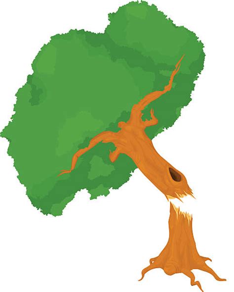 Broken Tree Clip Art Vector Images And Illustrations Istock