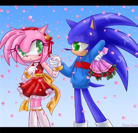 Sonic And Amy Sonic And Amy Photo 23738105 Fanpop