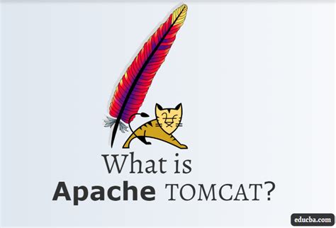 Apache Tomcat Apache Tomcat