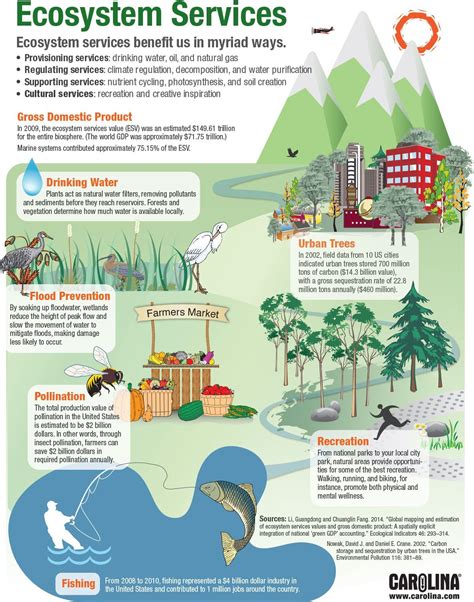 Infographic Ecosystem Services Science Lessons Life Science Science