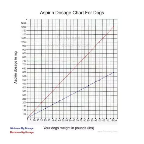 How Much Baby Aspirin Do I Give My Dog