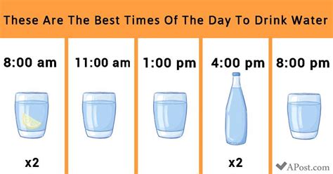These Are The Best Times Of The Day To Drink Water