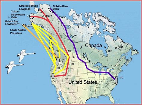 Bird Range Maps North America Map Resume Examples