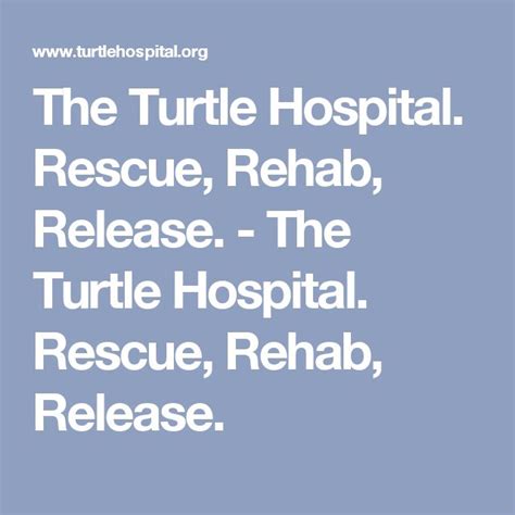 The Turtle Hospital Rescue Rehab Release The Turtle Hospital Rescue Rehab Release