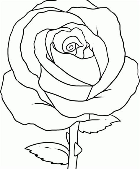 Printable Rose Coloring Pages Printable Templates