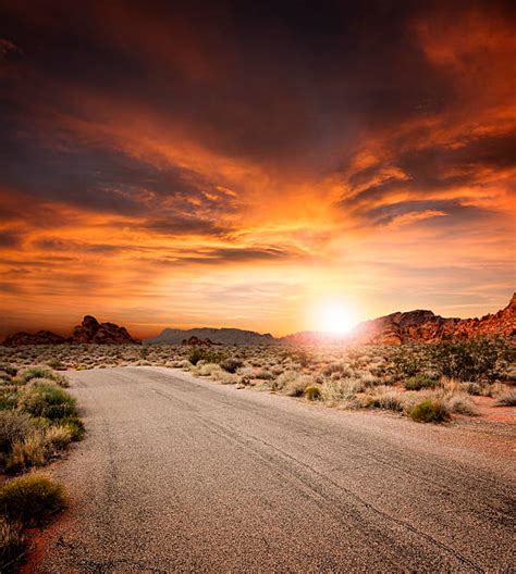 Desert Road Stock Photos Pictures And Royalty Free Images Istock