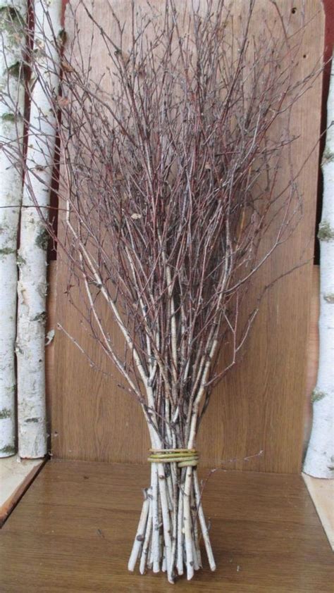 36 Unique Branches Dried Tree Decor Ideas Can Inpsire You Birch Tree