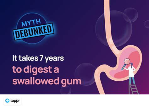 Myth Debunked It Takes 7 Years To Digest A Swallowed Gum By Minaam Ansari Toppr Blog