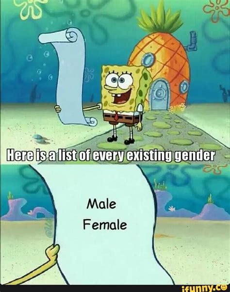 Here Is A List Of Every Existing Gender There Are Only Two Genders