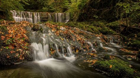 Fall Leaves Waterfall Wallpapers 4k Hd Fall Leaves Waterfall