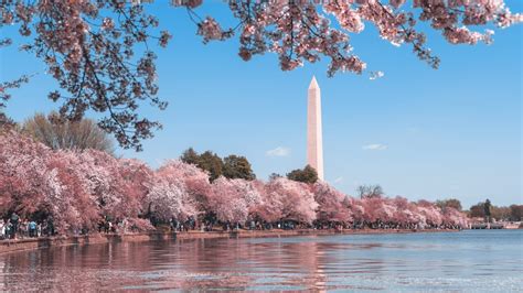 The Best Travel Guide To Washington Dc Hellotickets