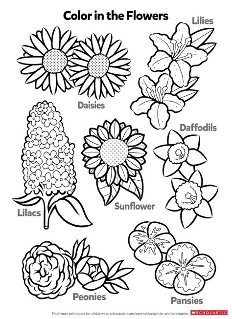4th of july fireworks coloring page. Activity coloring pages printable - Stackbookmarks.info
