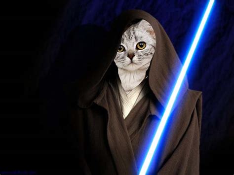 Jedi Cat Blank Template Imgflip