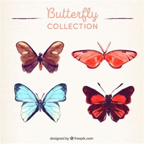 Free Collection Of Beautiful Butterflies Painted With Watercolors